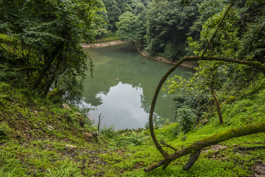 菌子山风光