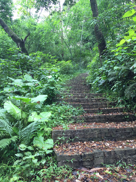 乡村砖路