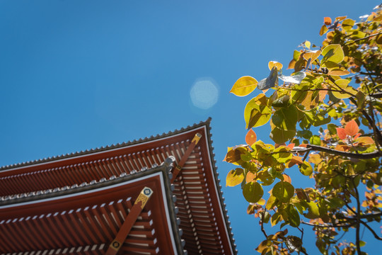 日本东京浅草寺