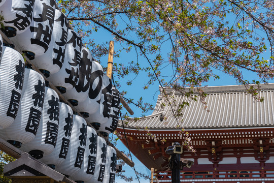 日本东京浅草寺