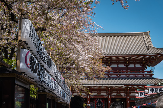 日本东京浅草寺