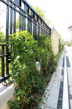 新中式绿植围墙