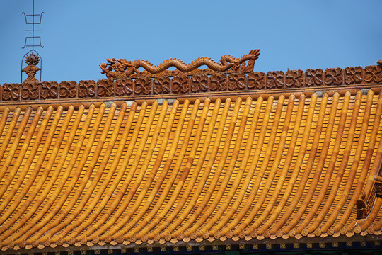 琉璃瓦龙