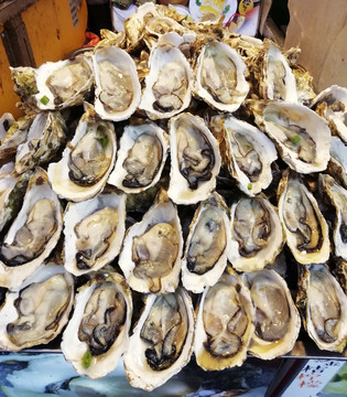生蚝生蠔海蛎牡蛎