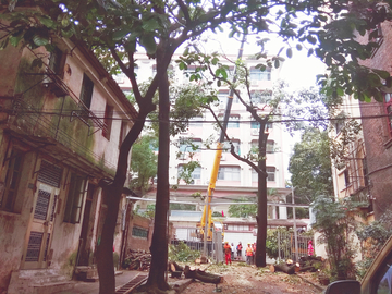 市政建设锯树施工工程