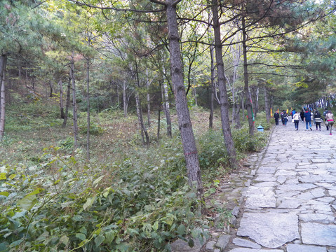 藏山景区