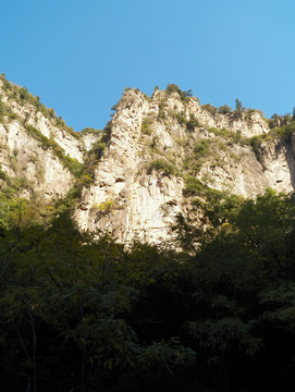 藏山景区