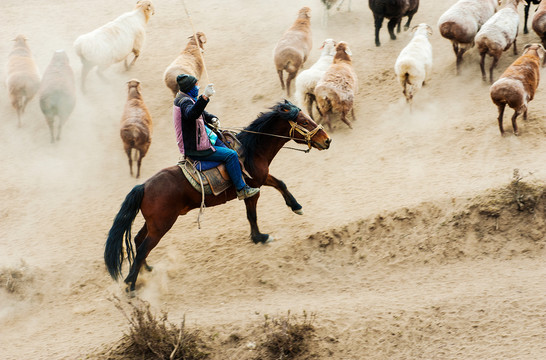 新疆哈萨克牧民放牧