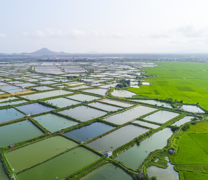 水产养殖