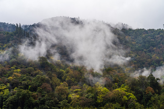 西藏波密318国道沿途风景93