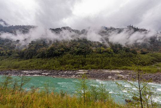 西藏波密318国道沿途风景97