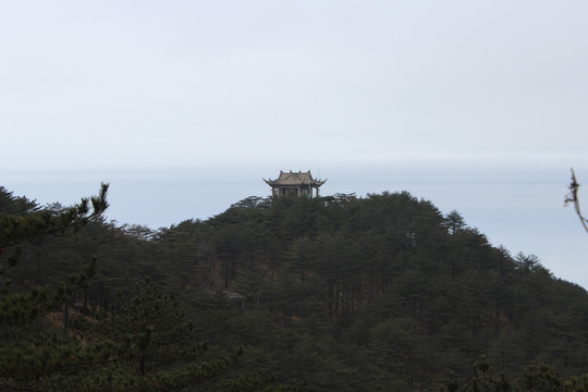 黄山云端之上