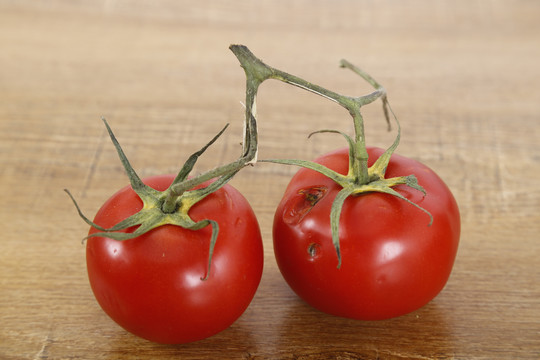 不同角度的番茄