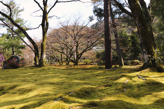 日式庭院