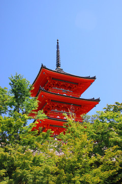 京都清水寺