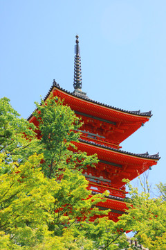 京都清水寺