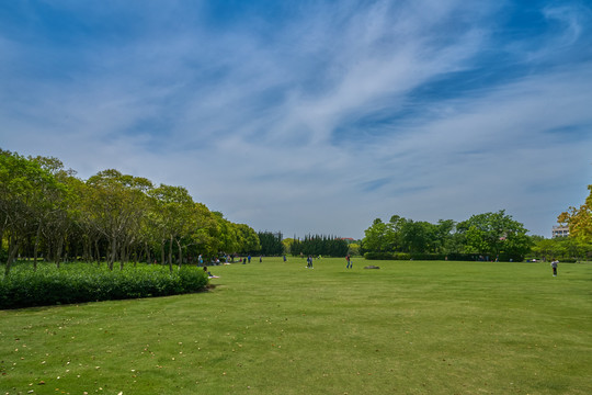 上海大学广场草坪