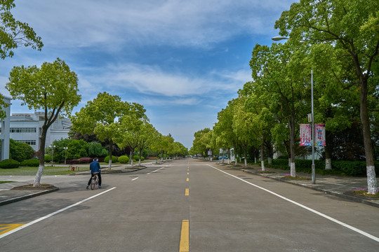 上海大学林荫道