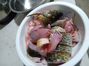 鱼肉