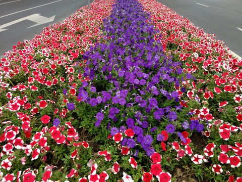 道路花坛