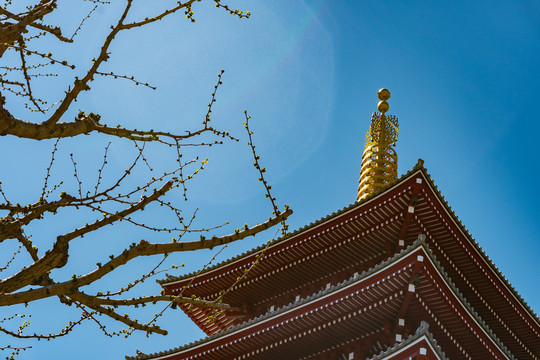 日本东京浅草寺