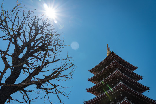 日本东京浅草寺