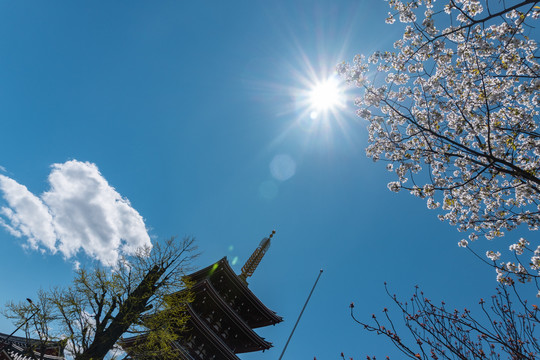 日本东京浅草寺