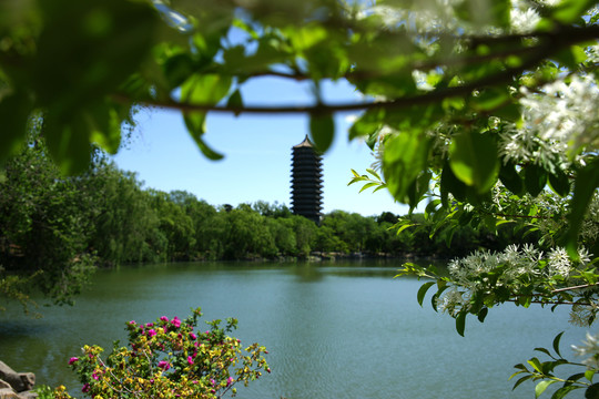 北京大学