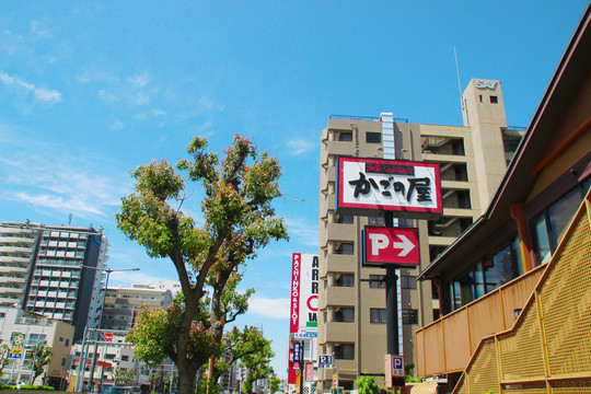 日本街道