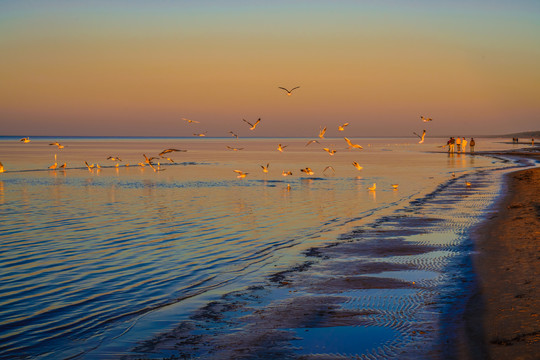 波罗的海海滩夕阳
