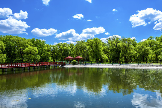 蓝天绿树湖水公园