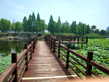 池塘观景栈道