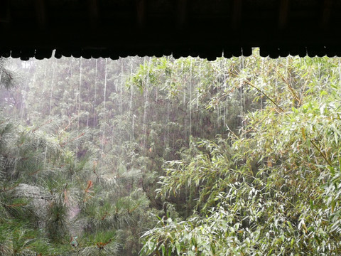 雨打竹亭