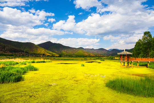 湿地公园泸沽湖草海