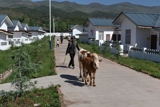 新农村新村建设