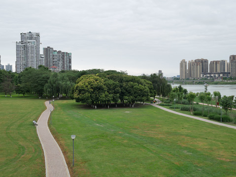 城市绿化