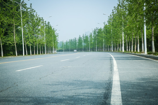 柏油路