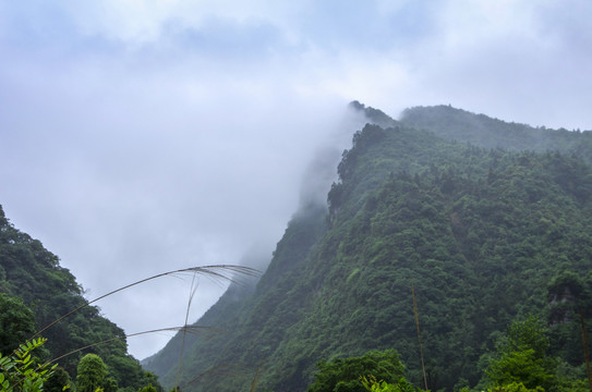 大娄山风光