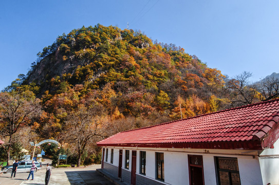 天水小陇山森林公园金龙山风景区