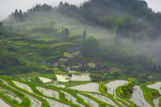 丽水风光