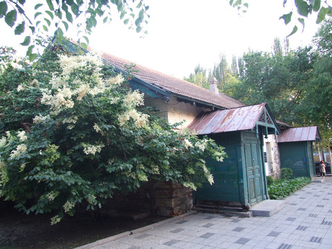 老建筑