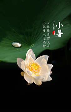 小暑节气