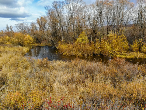 秋季荒野小河