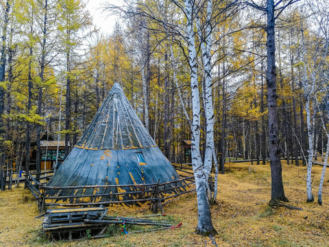 森林中的鄂温克族帐篷