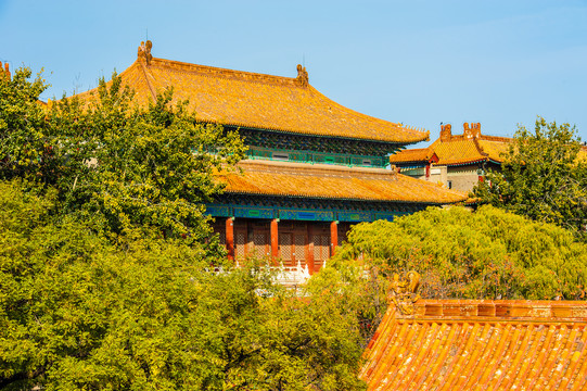 北京故宫金色琉璃屋顶