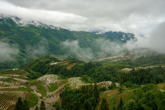 云雾梯田