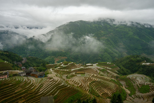 云雾梯田