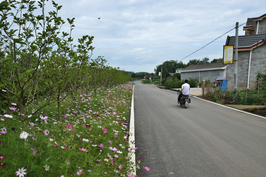 美丽乡村公路