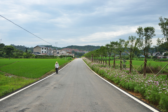 乡村道路
