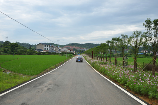 乡村道路